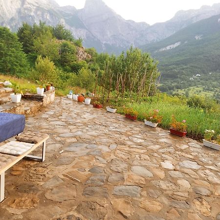 Guest House Astrit Villi Тети Экстерьер фото